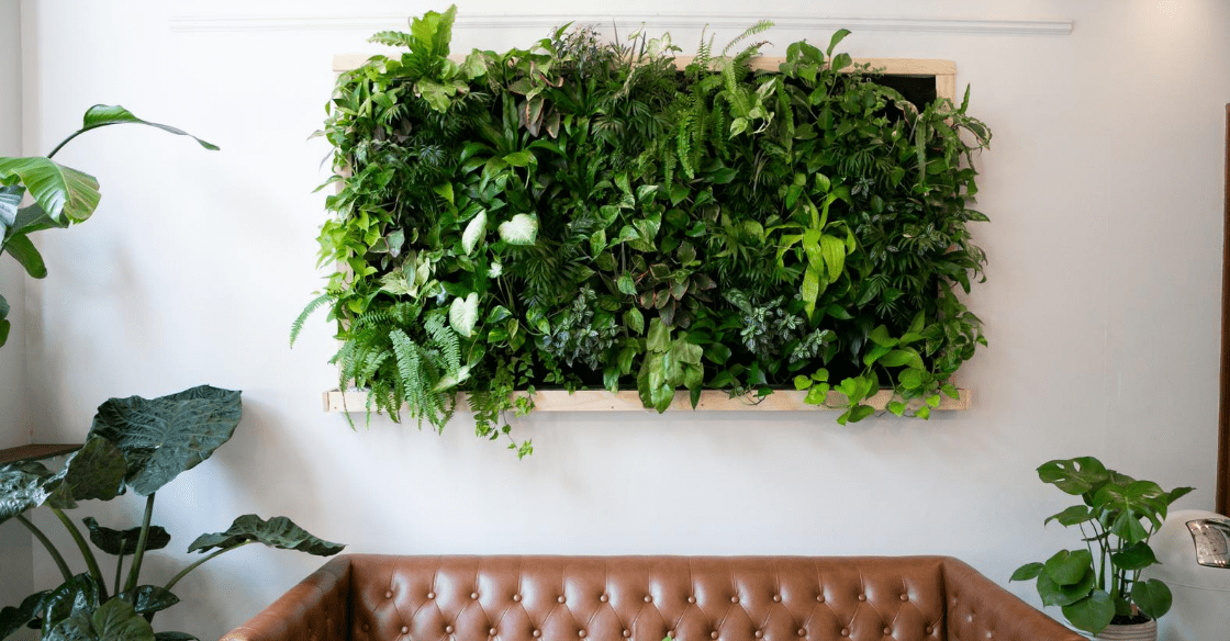 Wall plants for home office